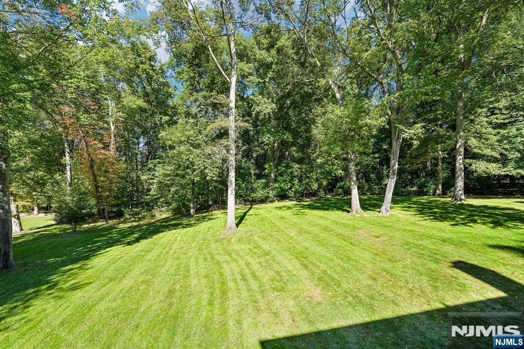 1 Canterbury Road — photo 36