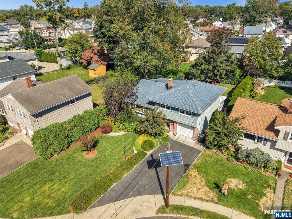 19 Dalton Place - Photo 1