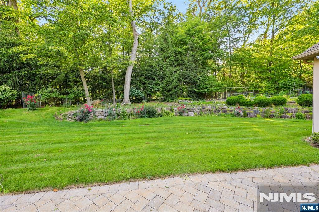 41 Wildwood Road — photo 44