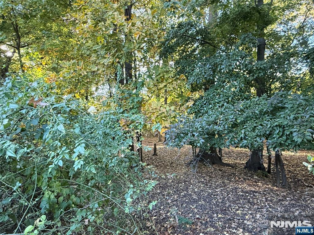 198 Howard Avenue - Photo 4