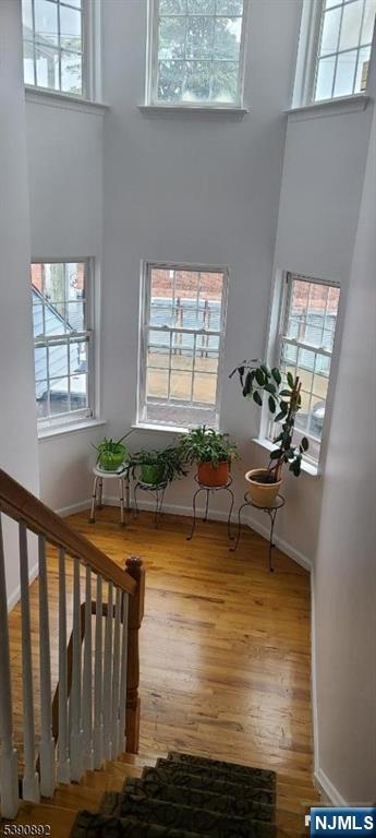 344 Sanford Avenue - Photo 2